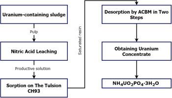 Recovery of uranium from conversion production sludge by leaching with nitric acid and subsequent ion-exchange concentration