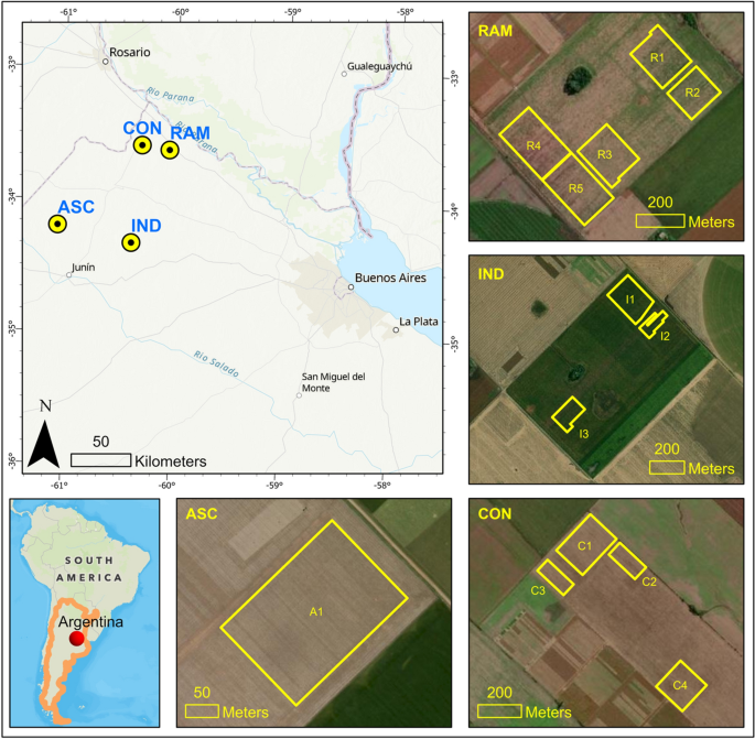 End-to-end 3D CNN for plot-scale soybean yield prediction using multitemporal UAV-based RGB images