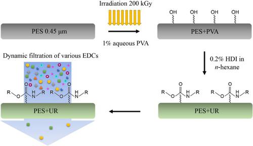 Removal of endocrine disrupting chemicals from water through urethane functionalization of microfiltration membranes via electron beam irradiation