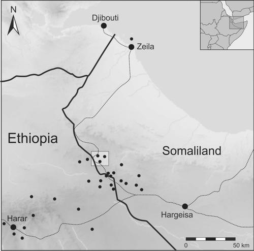 Kola’s Kingdom: The Territory of Abasa (Western Somaliland) during the Medieval Period