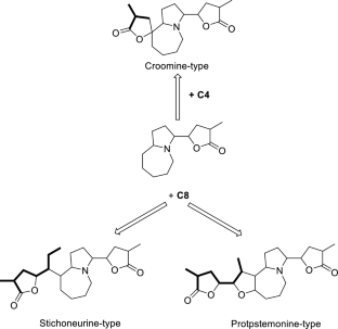 The structure and bioactivities of Stemona alkaloids and alkaloids with [1,2-α] azepine nucleus (2009–2021)