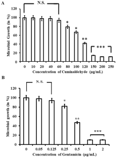 Combinatorial application of cuminaldehyde and gentamicin shows enhanced antimicrobial and antibiofilm action on Pseudomonas aeruginosa.