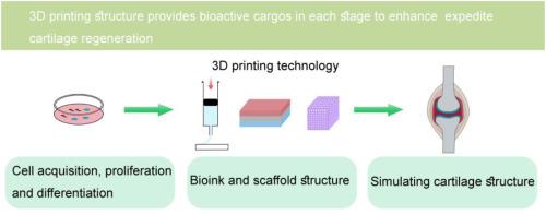 3D-Printed Constructs Deliver Bioactive Cargos to Expedite Cartilage Regeneration