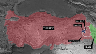 Complex harms of migration externalisation: EU policy ‘creep’ processes into domestic counterterrorism at the Turkey-Iran border