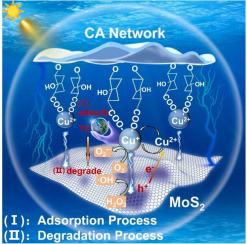 Novel durable and recyclable Cu@MoS2/polyacrylamide/copper alginate hydrogel photo-Fenton-like catalyst with enhanced and self-regenerable adsorption and degradation of high concentration tetracycline