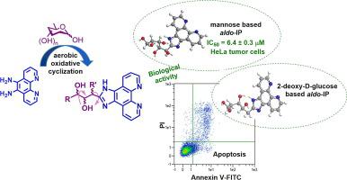 Synthesis, structural study and antitumor activity of novel alditol-based imidazophenanthrolines (aldo-IPs)