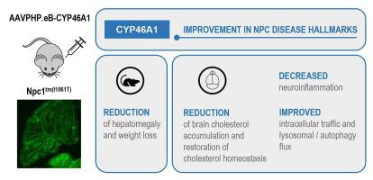 Cholesterol redistribution triggered by CYP46A1 gene therapy improves major hallmarks of Niemann-Pick type C disease but is not sufficient to halt neurodegeneration