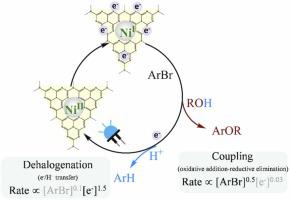 Steering single-site metallaphotocatalytic pathway by accumulated electron on carbon nitride support