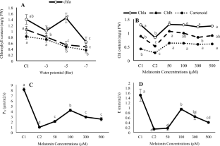 Optimal concentration of melatonin enhances drought stress tolerance in fenugreek