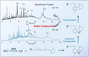 The occurrence and geochemical origin of 9-alkyl HDBTs substituted by long isoprenoid alkyl chains in crude oil