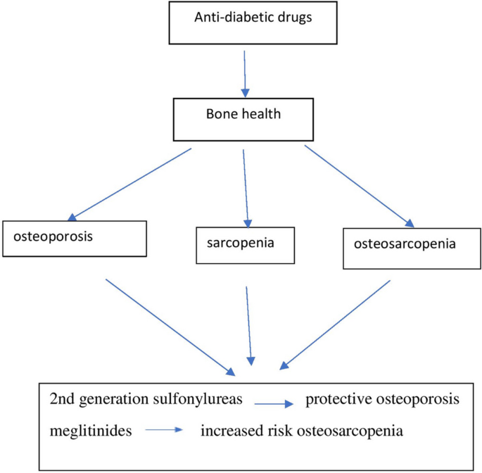 The association between anti-diabetic agents and osteoporosis, sarcopenia, and osteosarcopenia among Iranian older adults; Bushehr Elderly Health (BEH) program.