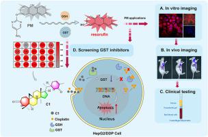 Rapid discovery of a novel “green” and natural GST inhibitor for sensitizing hepatocellular carcinoma to Cisplatin by visual screening strategy