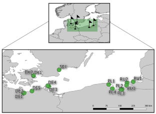 Beach wrack of the Baltic Sea – public acceptance and implications for beach management