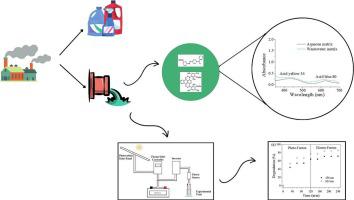 Application of renewable energy in sanitizer industry wastewater treatment through combined photo-Fenton and electro-Fenton processes