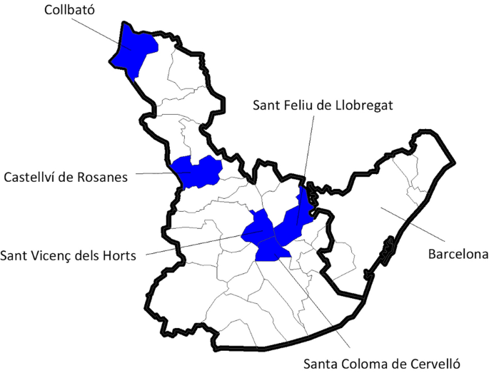 Numeracy and consistency in age declarations: a case study on nineteenth and twentieth century Catalonia