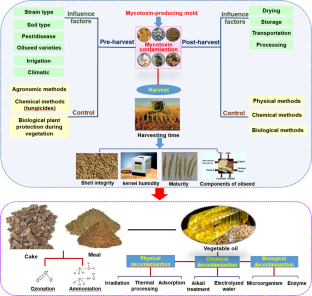 Relevant mycotoxins in oil crops, vegetable oils, de-oiled cake and meals: Occurrence, control, and recent advances in elimination.