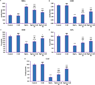 Carvacrol Reduces Mercuric Chloride-Induced Testicular Toxicity by Regulating Oxidative Stress, Inflammation, Apoptosis, Autophagy, and Histopathological Changes.