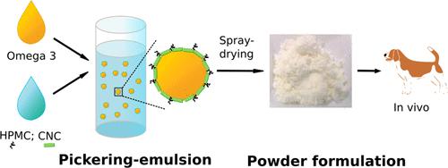 In Vitro and In Vivo Performance of Pickering Emulsion-Based Powders of Omega-3 Polyunsaturated Fatty Acids