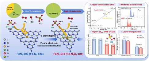 Rational modulation of Fe single-atom electronic structure in a Fe-N2B4 configuration for preferential 1O2 generation in Fenton-like reactions