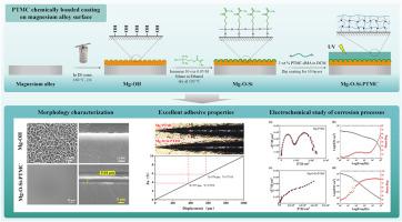 Enhancing the corrosion resistance of magnesium alloys with biodegradable poly(trimethylene carbonate) chemical modification coating