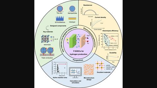 Green hydrogen production by intermediate-temperature protonic solid oxide electrolysis cells: Advances, challenges, and perspectives