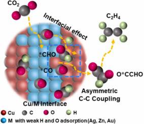 Enhanced interfacial effect-induced asymmetric coupling boost electroreduction of CO2 to ethylene