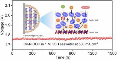 The dynamic anti-corrosion of self-derived space charge layer enabling long-term stable seawater oxidation