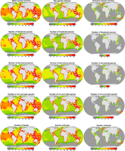 Extinction risk of the world’s chondrichthyan fishes: a global assessment of the interplay between anthropogenic factors and marine protected areas