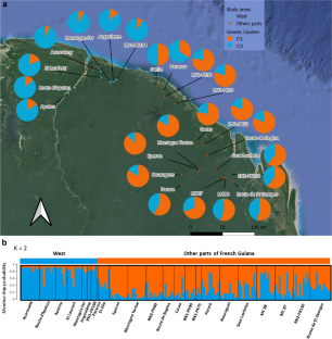 Population genetic structure and demographic history of the timber tree Dicorynia guianensis in French Guiana