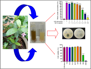 Transferosomes stabilized hydrogel incorporated rhodomyrtone-rich extract from Rhodomyrtus tomentosa leaf fortified with phosphatidylcholine for the management of skin and soft-tissue infections.