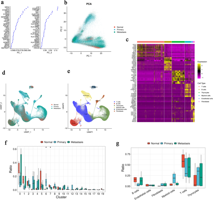 Single-cell and bulk RNA sequencing reveal heterogeneity and diagnostic markers in papillary thyroid carcinoma lymph-node metastasis.