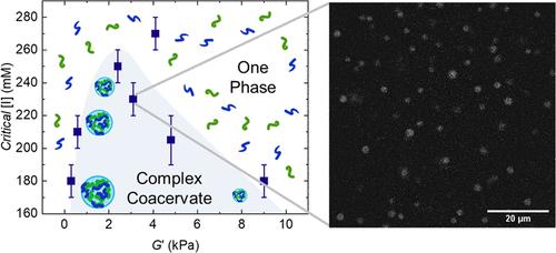 Effect of Polymer Gel Elasticity on Complex Coacervate Phase Behavior