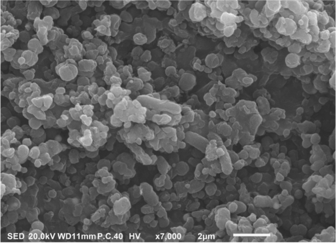 Selenium Nanoparticles Ameliorate Adverse Impacts of Aflatoxin in Nile Tilapia with Special Reference to Streptococcus agalactiae Infection.