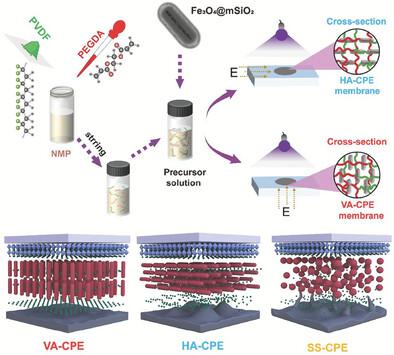 Vertically Aligned Hollow Mesoporous Silica Rods Enabling Composite Polymer Electrolytes with Fast Ionic Conduction for Lithium Metal Batteries