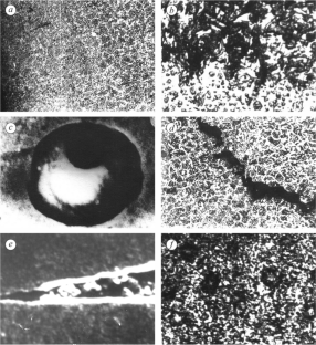 Characteristics of the Quality of Deposited Parts Treatment