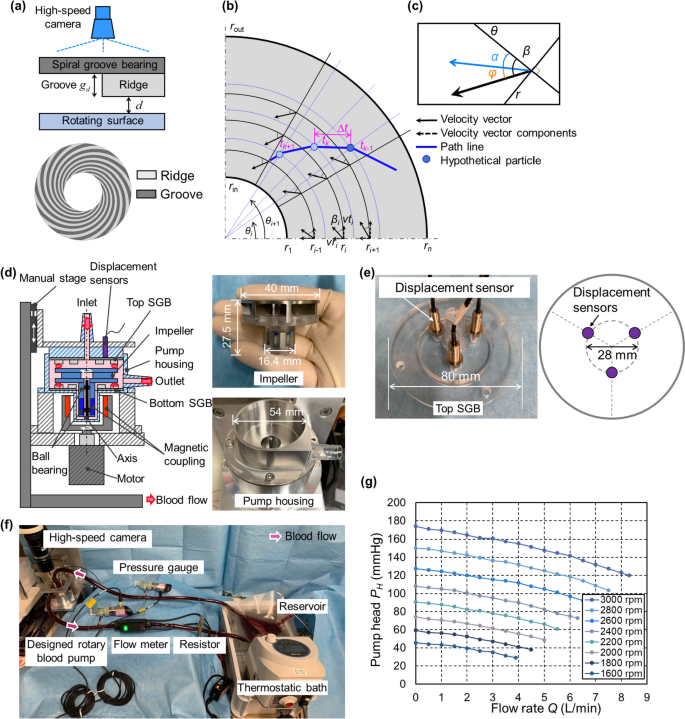 Spiral groove bearing design for improving plasma skimming in rotary blood pumps.