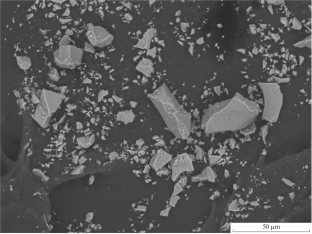 Effect of Silica Addition on Lead Ion Adsorption Ability of Alkali-Activated Blast Furnace Slag