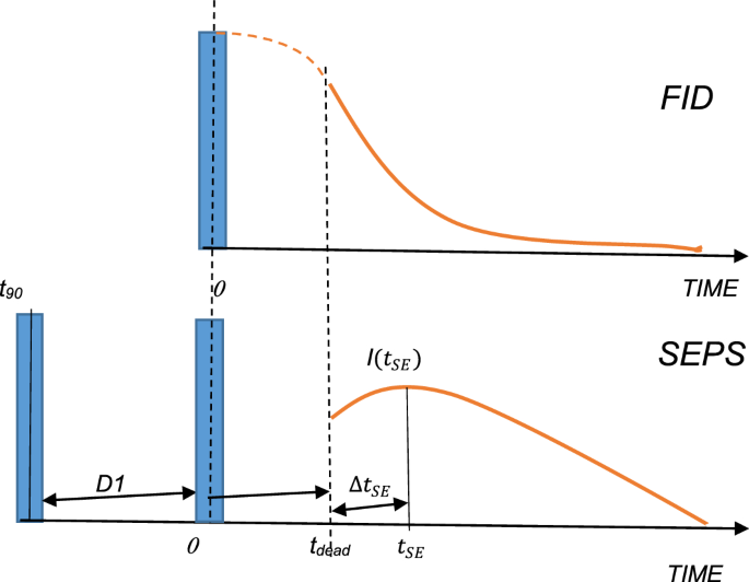 Probing the “Dead-Time” in NMR by Combining Single Pulse and Solid Echo Experiments Followed by a Global Model Fit Analysis