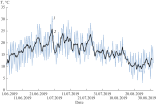 Anomalous Selective Absorption of Smoke Aerosol during Forest Fires in Alaska in July–August 2019