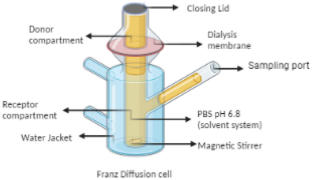 Formulation, Characterization, and Optimization of Transethosomes for Enhanced Transdermal Delivery of Methotrexate