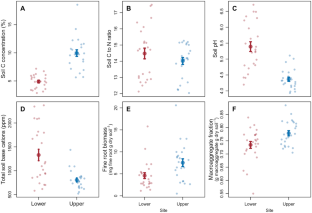 Biophysical Controls on Soil Carbon Cycling in a Northern Hardwood Forest