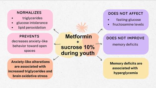 Effects of metformin on behavioral alterations produced by chronic sucrose consumption in male rats