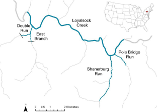 Movement beyond the mean: decoupling sources of individual variation in brook trout movement across seasons