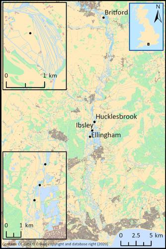 Movement ecology and minimum density estimates of red foxes in wet grassland habitats used by breeding wading birds