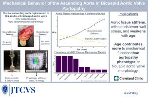 Age Is Superior to Aortopathy Phenotype as a Predictor of Aortic Mechanics in Patients with Bicuspid Valve