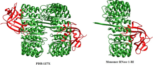 Engineering Human Pancreatic RNase 1 as an Immunotherapeutic Agent for Cancer Therapy Through Computational and Experimental Studies.