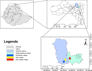 Financial returns of Rhamnus prinoides based agroforestry practice in Tigray, Ethiopia