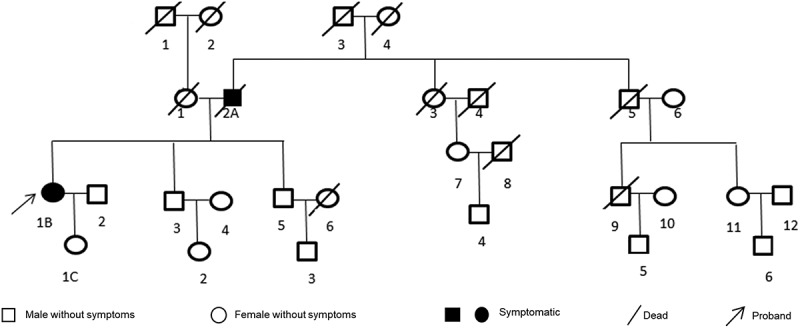 A family with mental disorder as the first symptom finally confirmed with Gerstmann-Sträussler-Scheinker disease with P102L mutation in PRNP gene - case report.