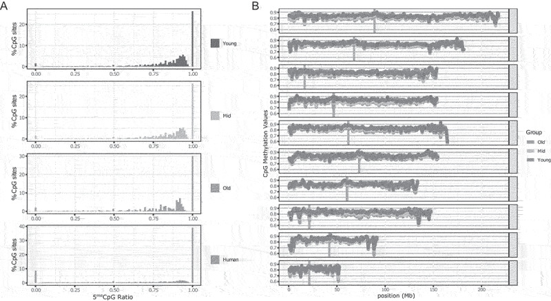 Age-associated DNA methylation changes in <i>Xenopus</i> frogs.