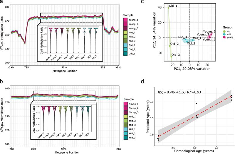 Age-associated DNA methylation changes in <i>Xenopus</i> frogs.